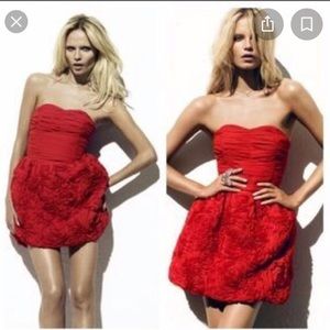 H&M Garden Collection Rose Dress